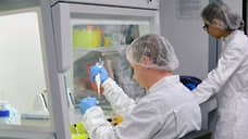 Смольный предоставит 14 млн рублей на развитие отечественных медтехнологий