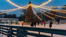 Каток площадью 4000 кв. м открыли на Елагином острове