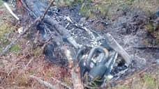 В Киришском районе Ленобласти обнаружили части пораженных БПЛА