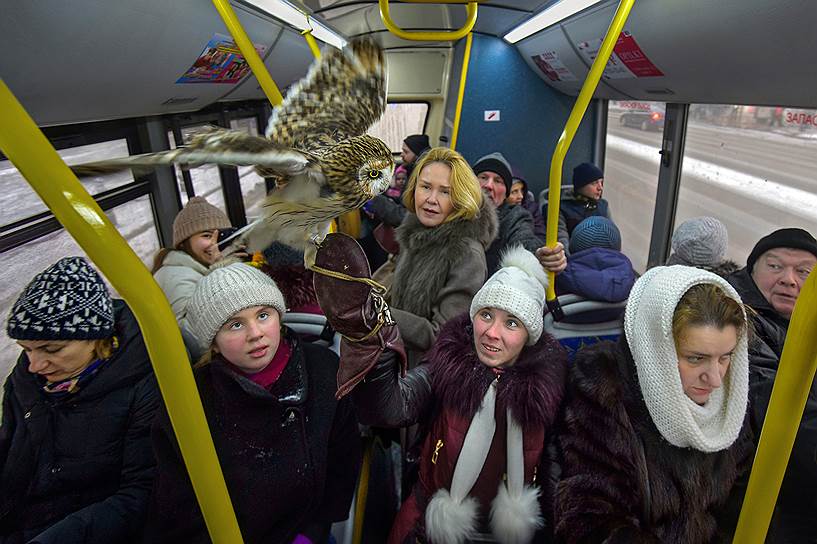 Дрессировщица совы в салоне рейсового автобуса