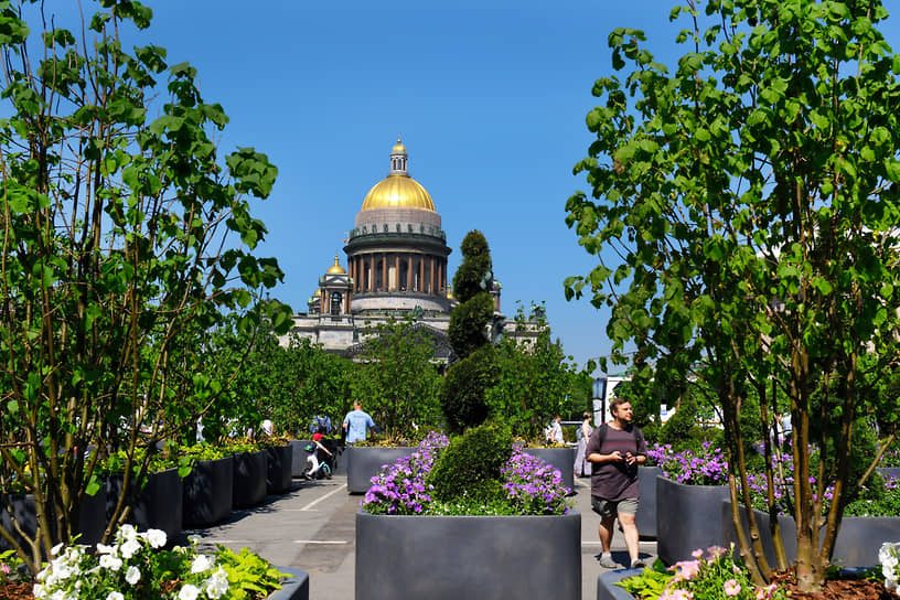 Открыть сад-трансформер ко Дню города в 2024 году удалось экономичнее. В первый раз на проект выделили 101 млн рублей из-за сохранившихся с предыдущего сезона кадок, но на сайте государственных закупок аукцион указан как несостоявшийся