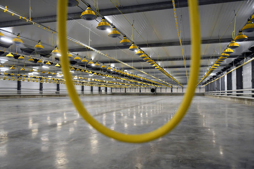 ...средняя ставка аренды в сегменте light industrial составляет 1,1 тыс. рублей за кв. м в месяц, однако на рынке наблюдается дефицит предложения с готовыми инженерными мощностями