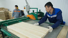 Ладожский ДСК вышел с панелью