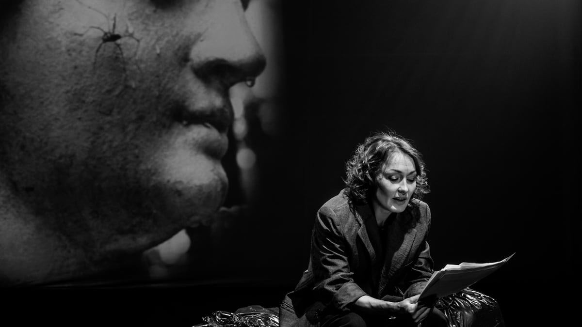 Фестивали «Дягилев P.S.» и Beat Weekend, рок-опера «Иисус Христос — суперзвезда» и шоу Татьяны Навки