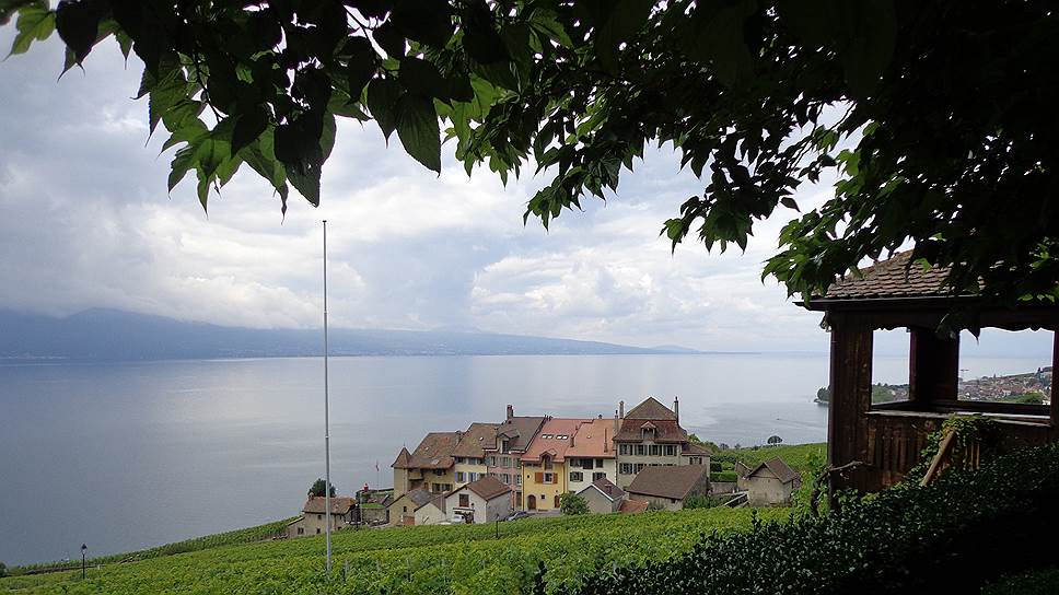 Террасные виноградники Лаво на северо-восточном побережье Женевского озера включены в список объектов всемирного наследия ЮНЕСКО