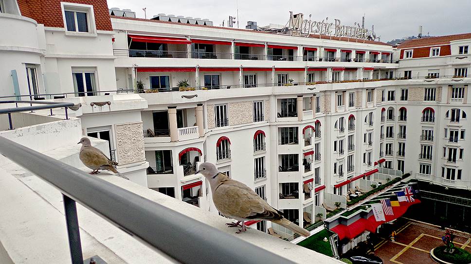 На балконе восточного крыла здания — нежданные гости