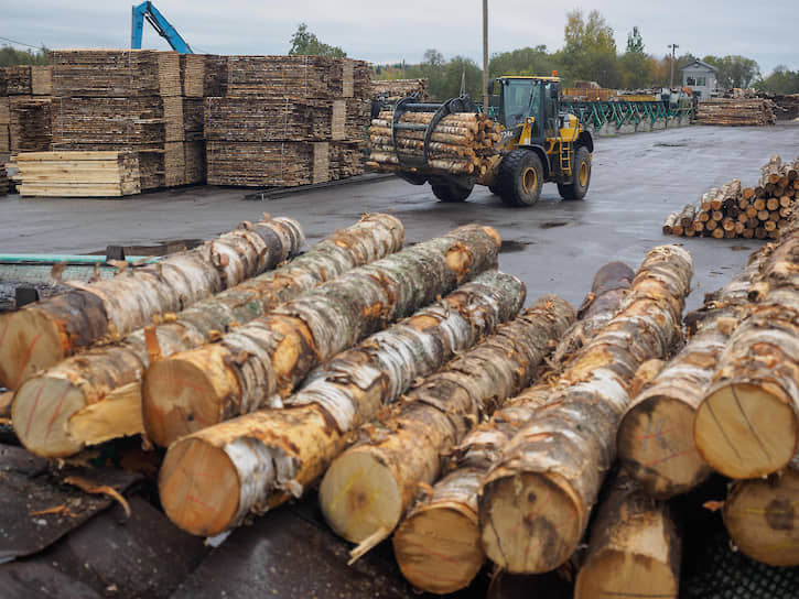 Объем экспорта из России сократился и из-за избытка древесины на внешних рынках