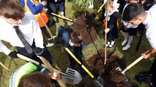 Ответственные компании ищут пути