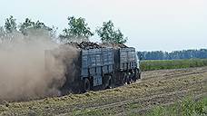 Адвокат увязла в земле