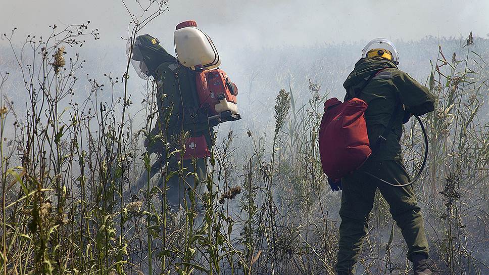 Экологи не понимают, почему им препятствуют тушить пожары