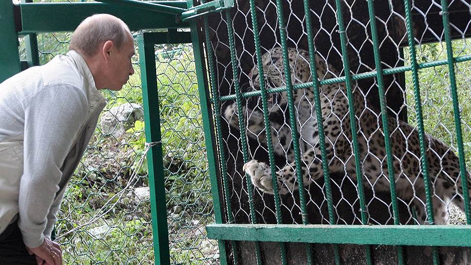 Президент Владимир Путин ждет предложения по минимизации экологического ущерба при расширении курортов