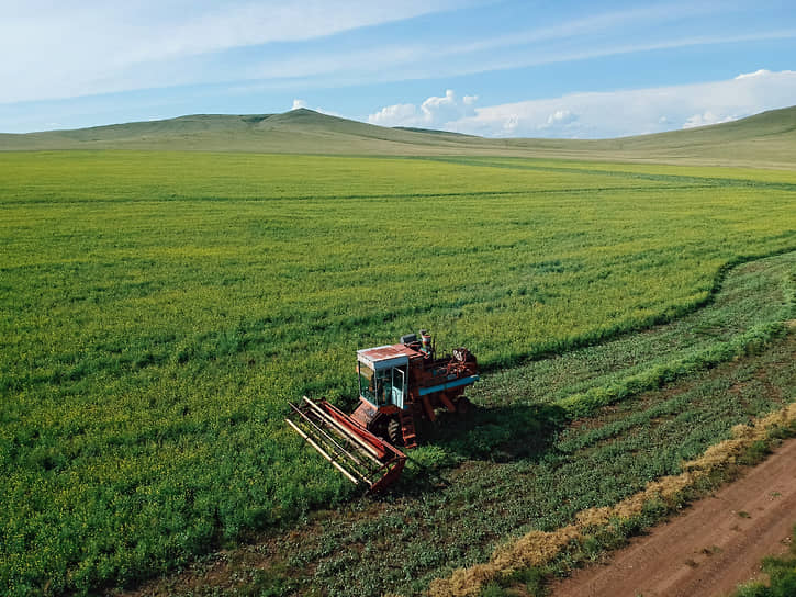 15,5 тыс. га на Ставрополье могли обойтись «Био-Тону» в 1,55–2,5 млрд руб. 