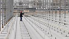 В Ставропольском крае построят тепличный комплекс по выращиванию роз за 1,2 млрд рублей