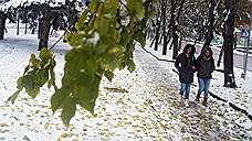В Ставропольском крае ожидаются заморозки и порывы ветра до 30 м/с