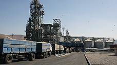 Экспорт зерна из портов Краснодарского края вырос на треть