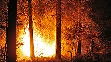 В Ростовской области прогнозируют высокую пожароопасность