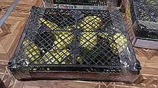 На границе в Ростовской области задержали 150 незаконно перемещенных попугаев