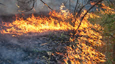 За выходные в Ростовской области произошло 146 пожаров