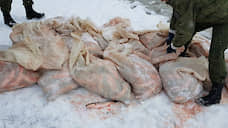 В Ростовской области у браконьера изъяли улов на 1,8 млн рублей