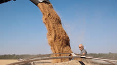 На Дону урожай зерновых собран более чем на 50% запланированных площадей