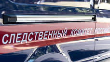 Донские следователи установят обстоятельства гибели 15-летней девочки в приюте