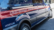 Следователи проводят проверку гибели двух детей при пожаре в Миллеровском районе