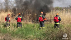 На Дону за сутки потушили 27 пожаров