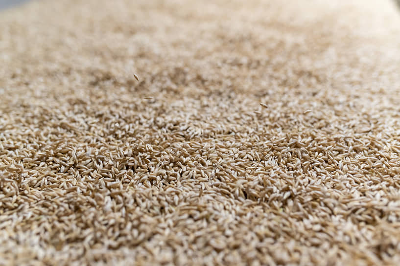 Хардкор порно кончил