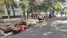 Власти Ростовской области ввели запрет на субаренду точек уличной торговли