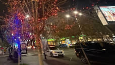 Власти Ростова завершат праздничное оформление города к 10 декабря