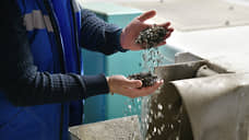 Ростовская область экспортировала в Турцию 5 тысяч тонн кормов