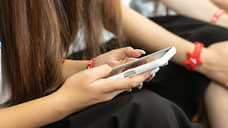 Жители Дона совершили более 1,2 млн онлайн-покупок за девять месяцев