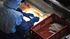 Новый проект рыбного завода в Азовском районе прошел экспертизу