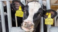 Росприроднадзор взыскивает с донской молочной компании экоущерб в 760 тысяч рублей