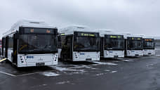 Для межмуниципальных маршрутов Дона планируют закупить 1,5 тысячи автобусов