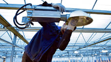 «Технологии света» из Таганрога зарегистрировала два новых товарных знака