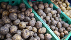 В Ростовской области сбор картофеля увеличился на 7,5%