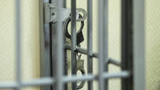 Житель Новочеркасска получил два года колонии за дачу взятки