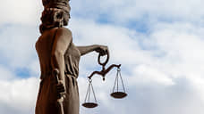 Судья из Ростова заявил, что имитировал передачу взятки Елене Золотаревой