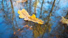 Заморозки до -4 градусов придут в Ростовскую область