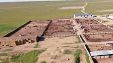 На фермах в Тацинском районе нашли нарушения с помощью БПЛА