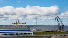 Из Ростовской области в Турцию на неделю отправили 3 тысячи кормов для животных