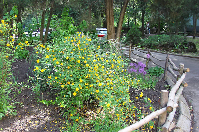 Ботанический сад Южного федерального университета