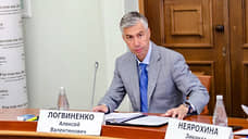 Алексей Логвиненко: муниципальный и частный пляжи Ростова готовы к купальному сезону