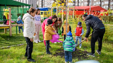 В школе и детских садах «Вересаево» высадили платановые аллеи