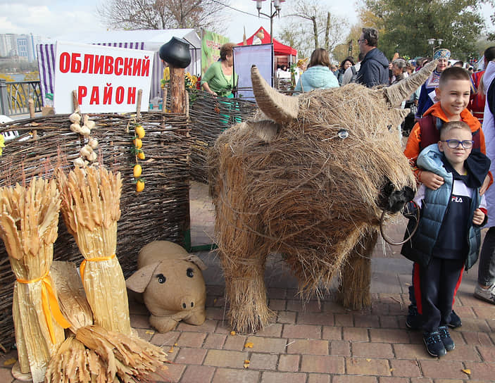 Фестиваль &quot;День Донского урожая&quot; в парке &quot;Левобережный&quot;. Выставка-ярмарка фермерской продукции, товаров виноделов и ремесленников