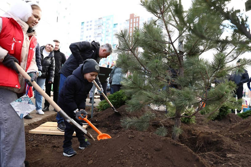 Фото: предоставлено пресс-службой администрации города Ростова-на-Дону