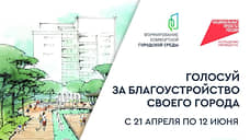 Почти 45 тысяч ростовчан проголосовали за объекты благоустройства
