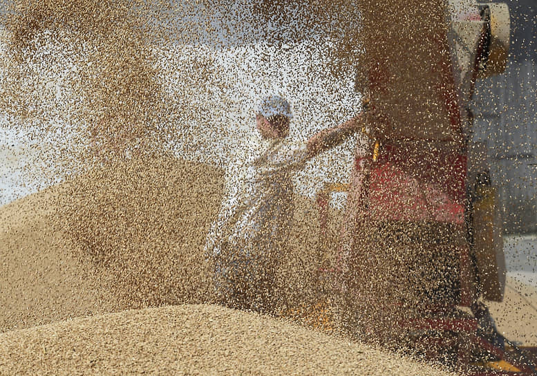 По предварительным оценкам минсельхоза РФ, в целом урожай-2022 может составить 130 млн тонн, из которых 87 млн тонн — это пшеница