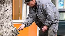 Депутаты посчитали пенсию